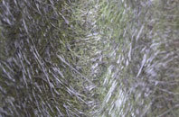 Parr fibreglass roof work